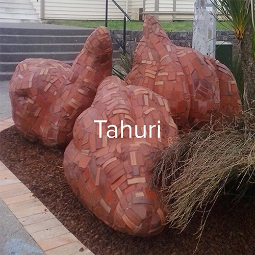 Tahuri